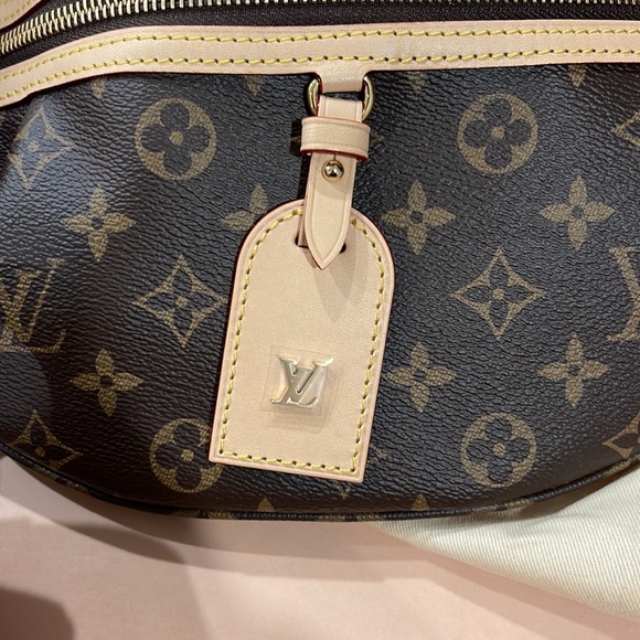 Louis Vuitton high rise bum bag - Picture 2 of 9
